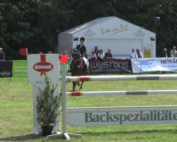 Pfingst - Dressur und Springturnier Borken 2015
