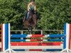 broodmare Chocolate Chip (Oldenburg show jumper, 2011, from Clinton I)