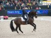 stallion Decor Vivaldo (KWPN (Royal Dutch Sporthorse), 2002, from Polansky)