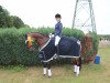 dressage horse Diva`s Star (German Riding Pony, 2012, from Batida de Coco)