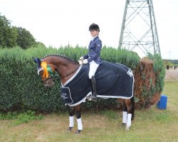 dressage horse Diva`s Star (German Riding Pony, 2012, from Batida de Coco)