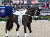 dressage horse Flamant (Hanoverian, 2010, from Fürst Nymphenburg)