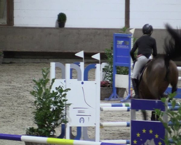 Reitturnier Langenfeld - Gut Langfort 2021