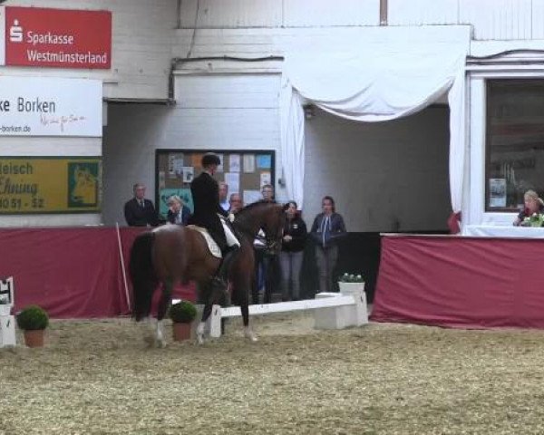Pfingst - Dressur und Springturnier Borken 2015