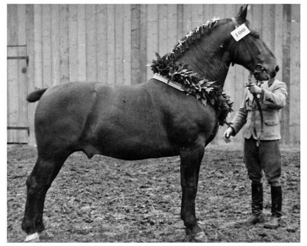 Deckhengst Großfürst II Th 549 (Schweres Warmblut, 1933, von Grosus Oldb. 3408)