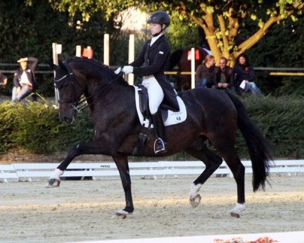 dressage horse Capaccio J (Rhinelander, 1999, from Casaretto)