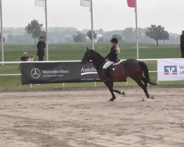 Großes Langenauer Reitturnier 2015