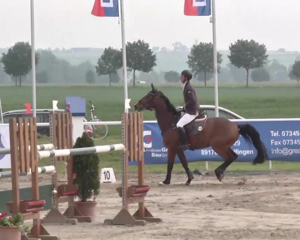 Großes Langenauer Reitturnier 2015