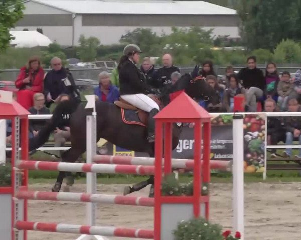 Großes Langenauer Reitturnier 2015