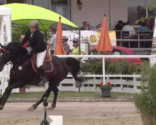 Großes Langenauer Reitturnier 2015