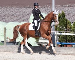 dressage horse Le Couleur V (Rhinelander, 2003, from Lebenskünstler)