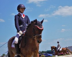 dressage horse Othello (German Riding Pony, 2003, from Oosteinds Ricky)