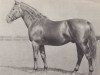 stallion Gen (Czech Warmblood, 1939, from Genius)