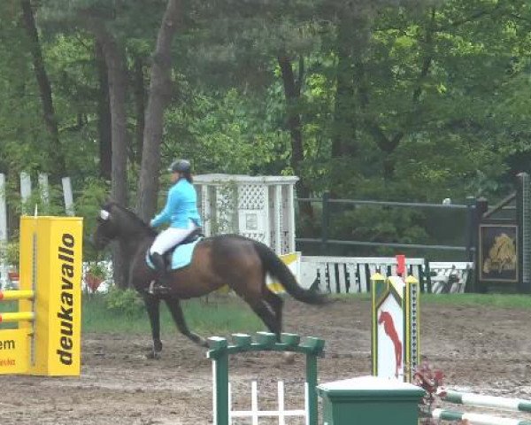 Pfingstturnier Mettingen 2015