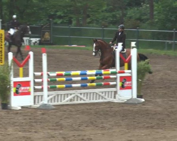 Pfingstturnier Mettingen 2015