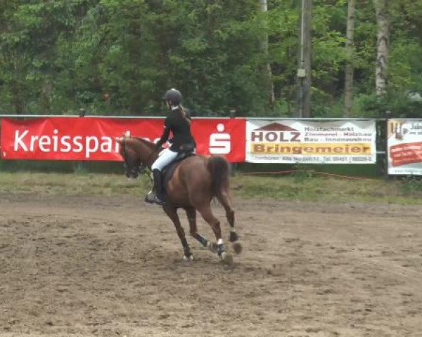 Pfingstturnier Mettingen 2015