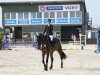 jumper Calanda 56 (Hanoverian, 2015, from Countselo)