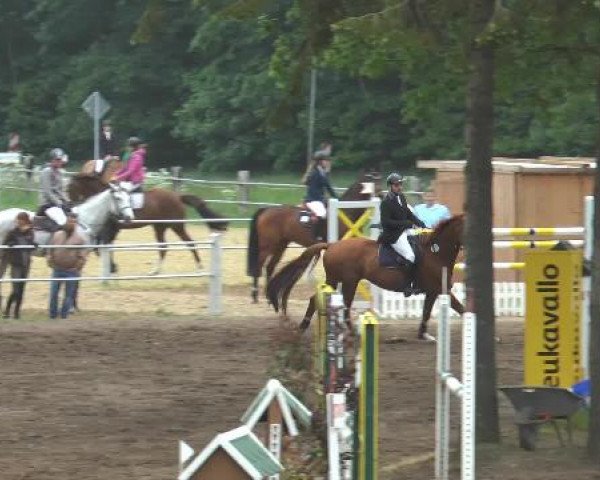 Pfingstturnier Mettingen 2015