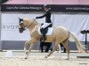 broodmare Danika 14 (German Riding Pony, 2017, from Darubi Gold)