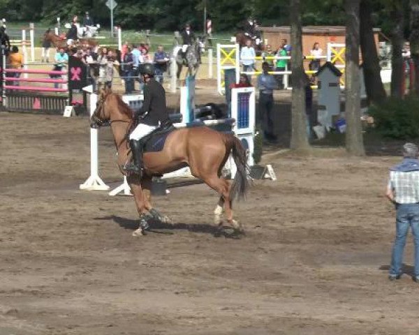 Pfingstturnier Mettingen 2015