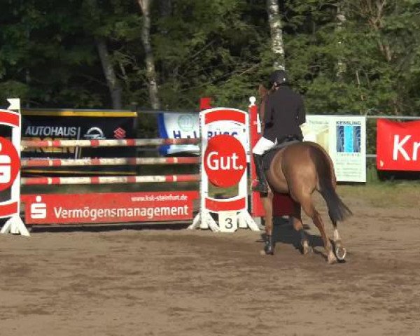 Pfingstturnier Mettingen 2015
