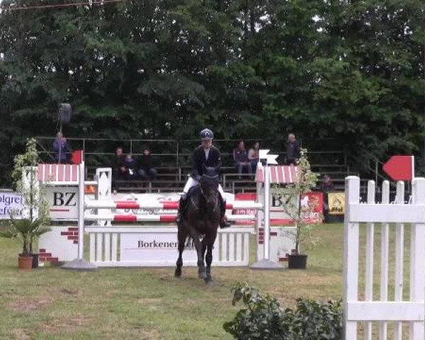 Pfingst - Dressur und Springturnier Borken 2015