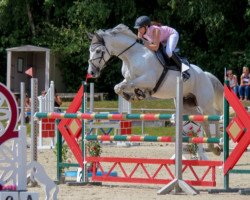 jumper Livius 147 (Hanoverian, 2009, from Hh Linton)