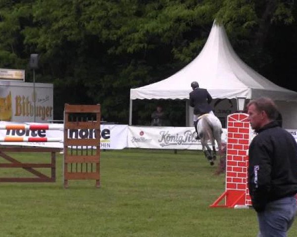 Pfingst - Dressur und Springturnier Borken 2015