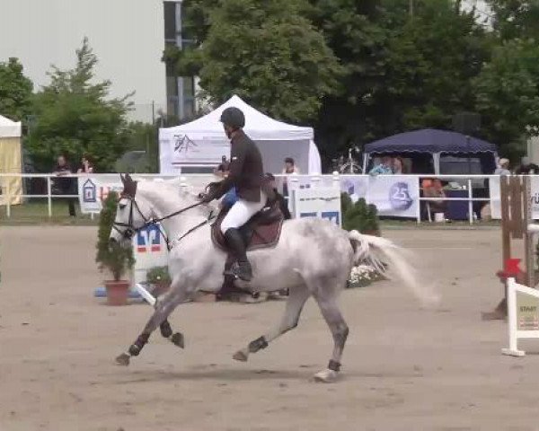 Großes Langenauer Reitturnier 2015