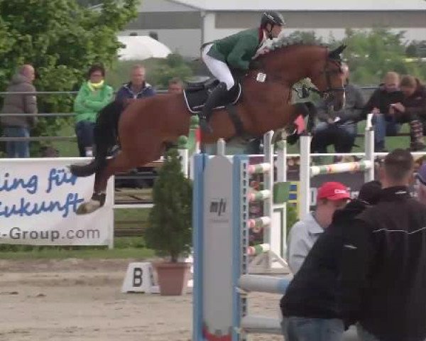 Großes Langenauer Reitturnier 2015