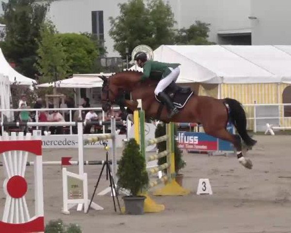 Großes Langenauer Reitturnier 2015