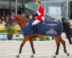 jumper Espoir (Belgian Warmblood, 2004, from Surcouf de Revel)