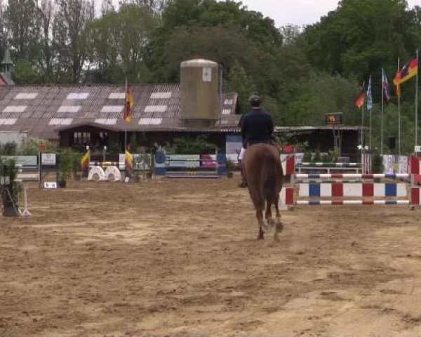Reitturnier Bissendorf - Gut Stockum 2015