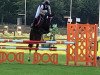 jumper Ready for Cornflakes (German Riding Pony, 2014, from Rex the Robber)