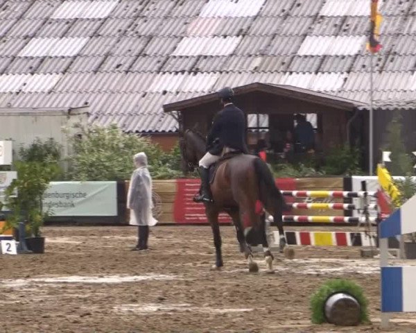Reitturnier Bissendorf - Gut Stockum 2015