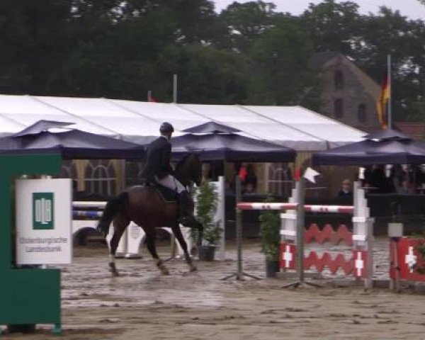 Reitturnier Bissendorf - Gut Stockum 2015