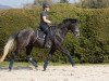 dressage horse Zauberland 3 (Trakehner, 2016, from Timberland)