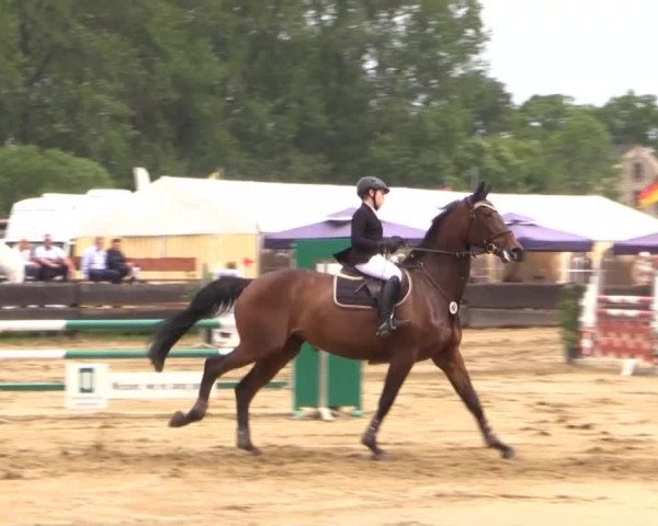 Reitturnier Bissendorf - Gut Stockum 2015