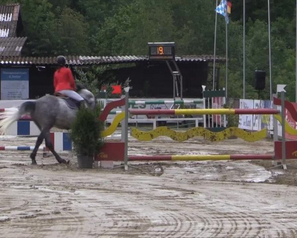 Reitturnier Bissendorf - Gut Stockum 2015