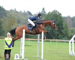 Pferd Ina-Reve van het Keizershof (Belgisches Warmblut, 2008, von Nabab de Rêve)