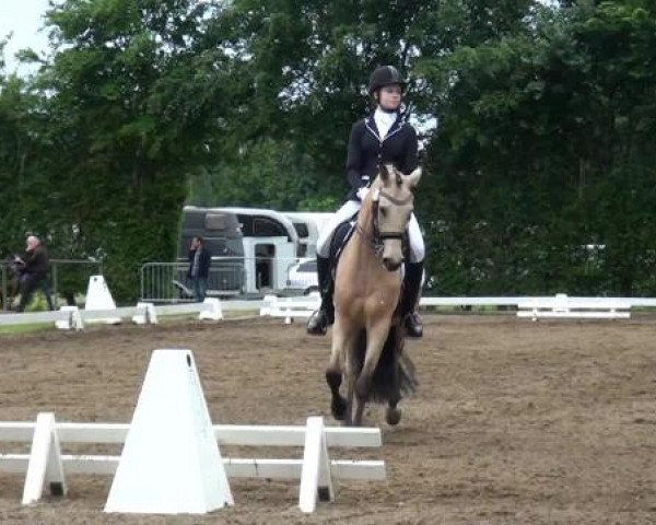Reitturnier Willich-Anrath-Neersen 2015