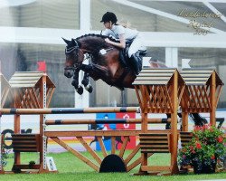 broodmare Camira (Oldenburg show jumper, 2007, from Chacco-Blue)