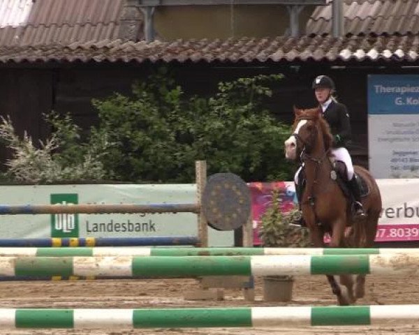 Reitturnier Bissendorf - Gut Stockum 2015