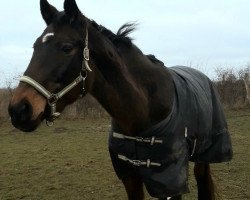 broodmare Julaska (Mecklenburg, 1995, from Juon I)