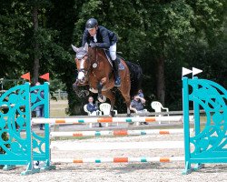 Springpferd Player van de Molenberg (Belgisches Warmblut, 2015, von Tangelo van de Zuuthoeve)