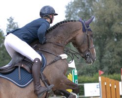 jumper Kayadeva van Klaverborch (KWPN (Royal Dutch Sporthorse), 2015, from Ephebe For Ever)