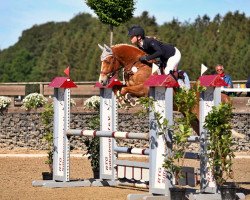 jumper Pierro D'Alpen (German Riding Pony, 2015, from Paul SG)