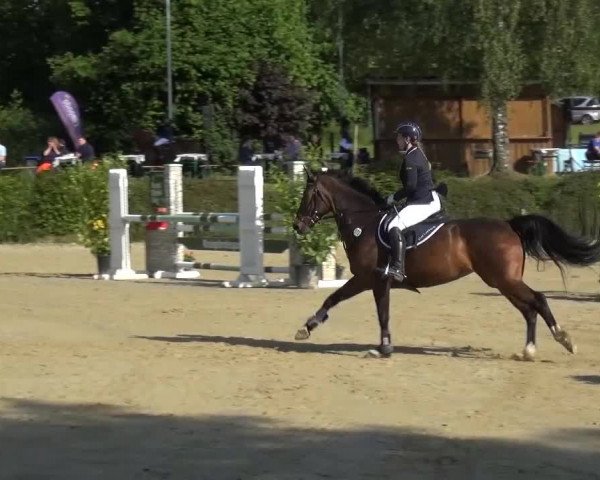 Sommerturnier Lohmar-Hausdorp 2015
