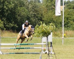 jumper Milow B (German Riding Pony, 2011, from Martini)