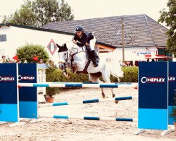 jumper G-Star 4 (German Warmblood, 2007, from Gerwannus)